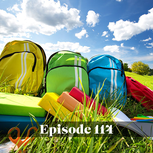 Access and equity for small and rural schools, colorful photo of backpacks in the grass